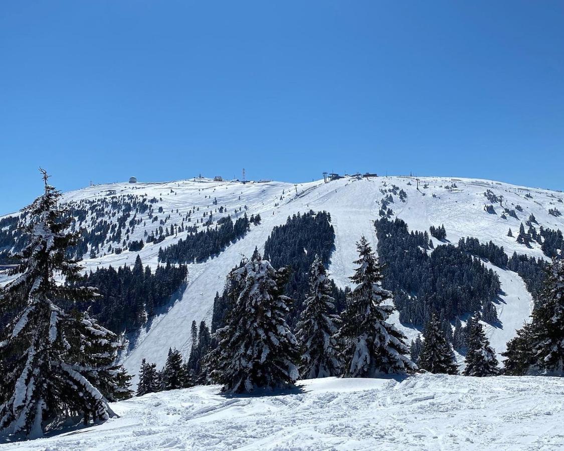 Ski&Spa Milmari L17 Kopaonik Kültér fotó