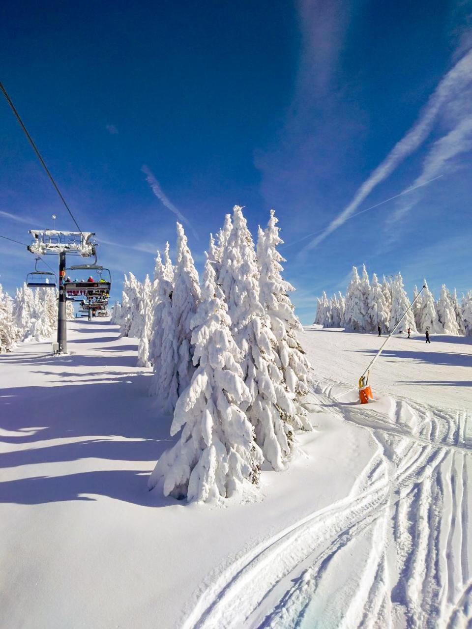 Ski&Spa Milmari L17 Kopaonik Kültér fotó